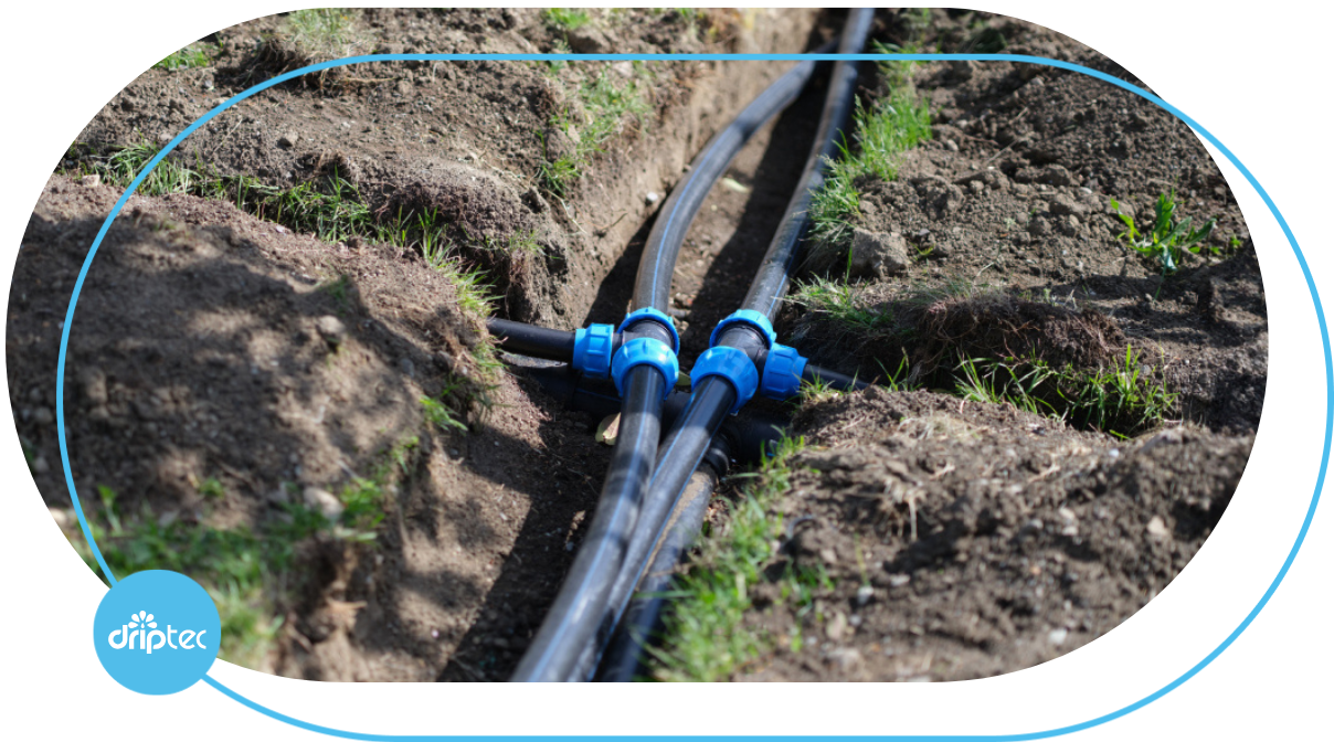Avocado Irrigation Model Using Drip Tubing