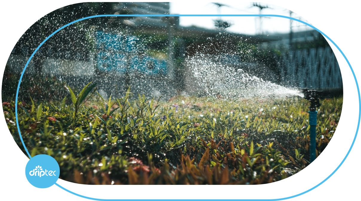 BUDGET FOR AUTOMATIC CORN IRRIGATION