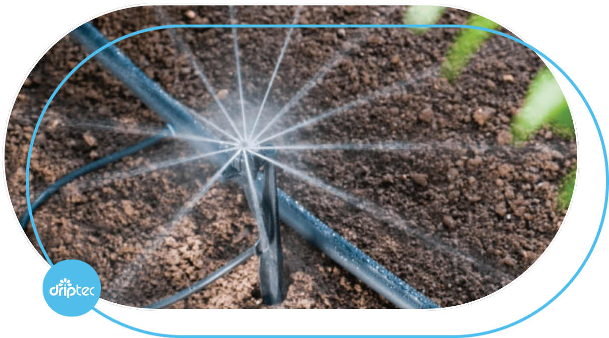 Orange irrigation model using Rivulis Tornado sprinklers