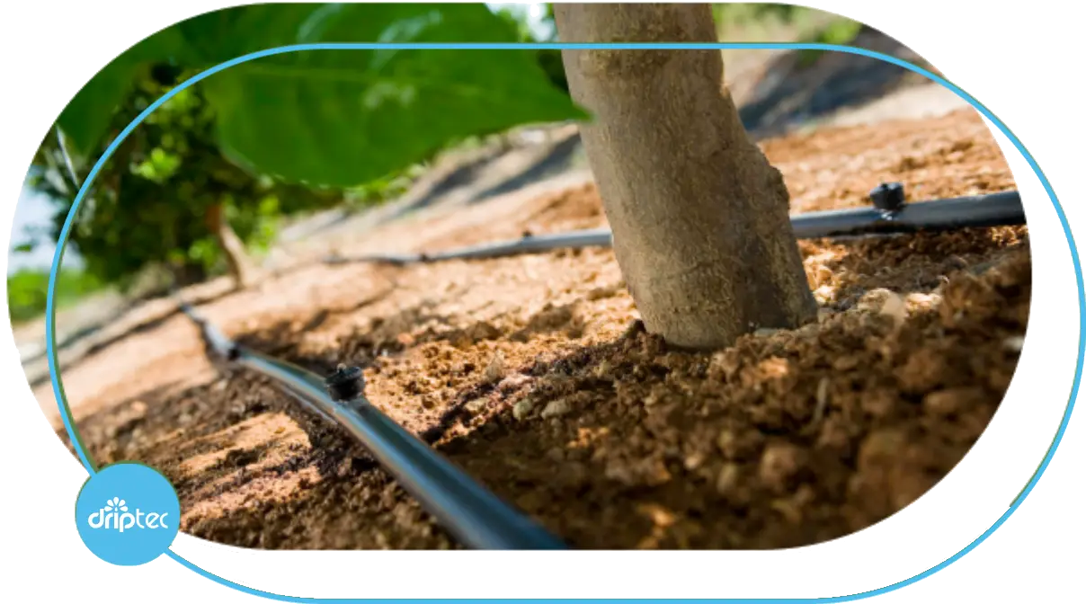 AUTOMATIC FORESTRY TREES IRRIGATION SOLUTION