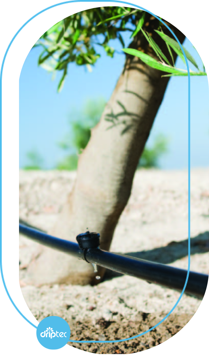BENEFITS OF AUTOMATIC FORESTRY TREES IRRIGATION