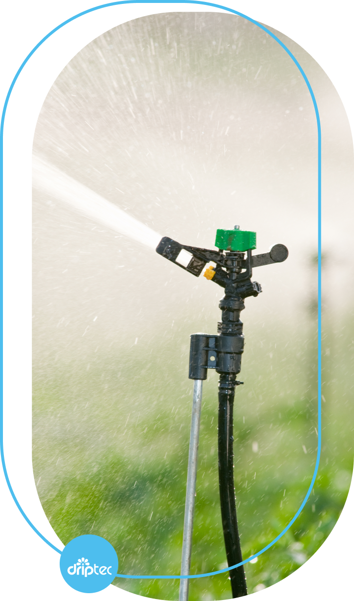 BENEFITS OF AUTOMATIC VEGETABLE IRRIGATION